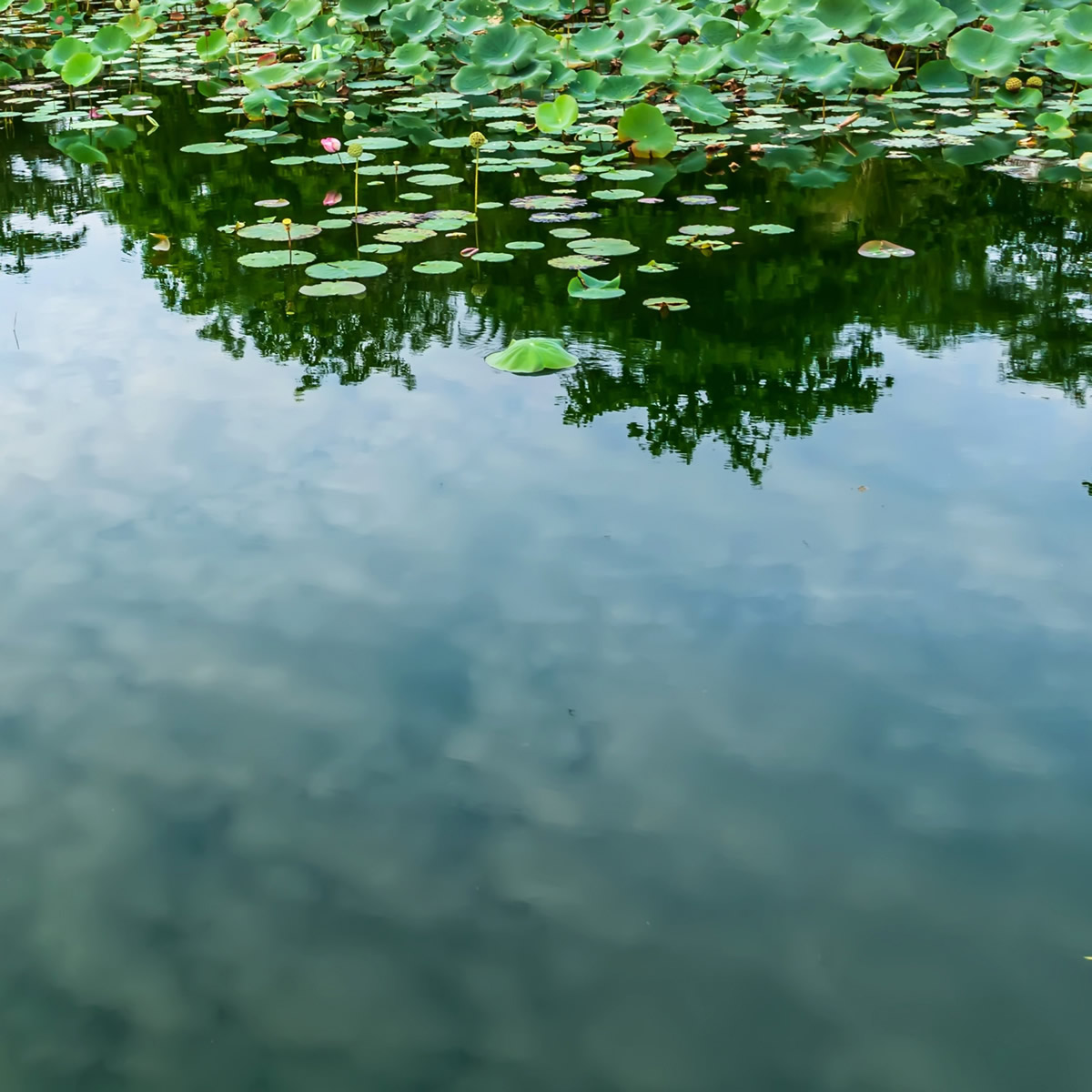 Get Rest, Jesus, Christ, God, HolySpirit, Christian, Bible, WordofGod, Scripture, Biblestudy, Spiritualgrowth, Pray, Prayer, Faith, Truth, Peace, Rest, Joy, Freedom, Grace, Encouragement, Hope, InHisPresence, Godspresence