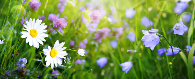 Get Rest, Jesus, Christ, God, HolySpirit, Christian, Bible, WordofGod, Scripture, Biblestudy, Spiritualgrowth, Pray, Prayer, Faith, Truth, Peace, Rest, Joy, Freedom, Grace, Encouragement, Hope, InHisPresence, Godspresence