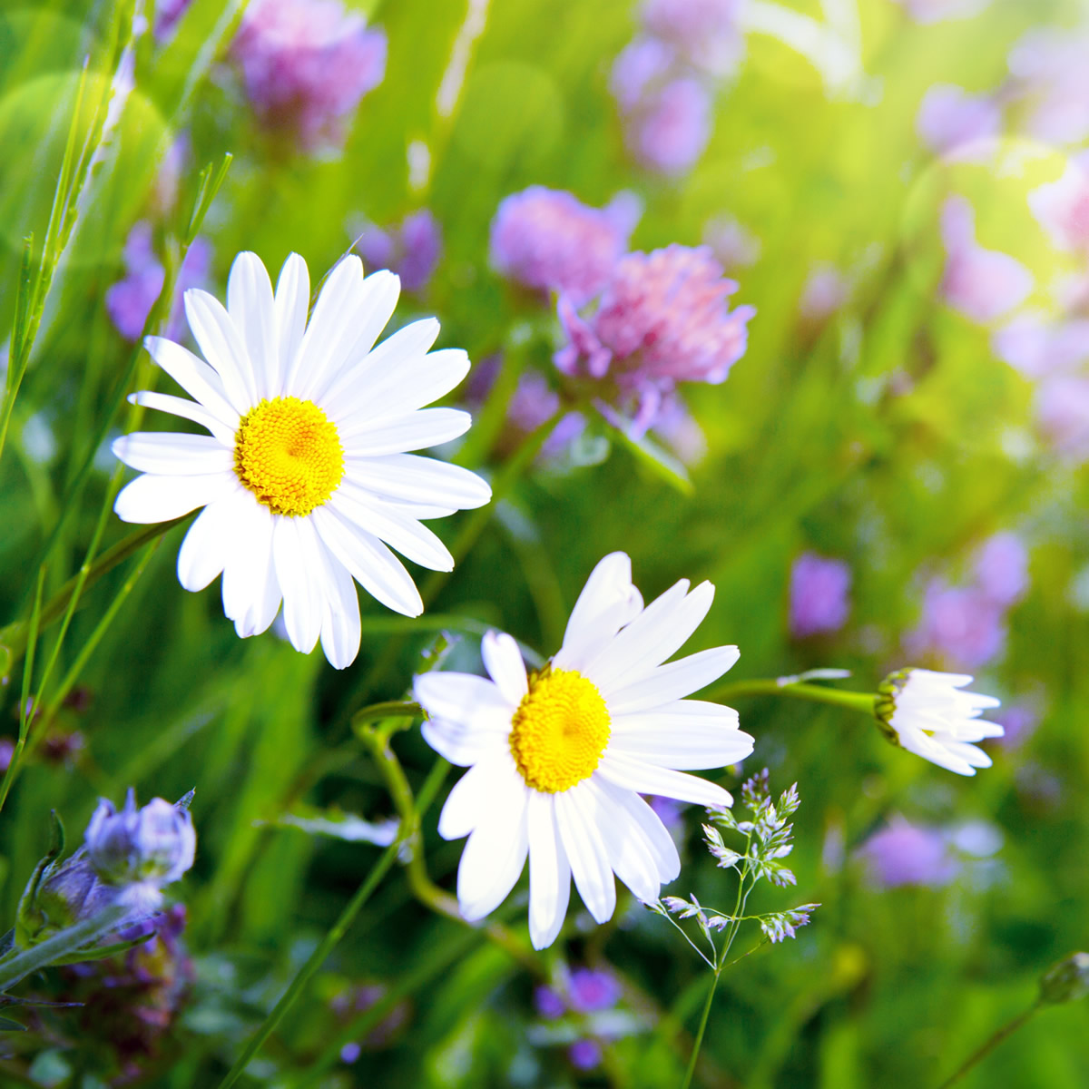 Get Rest, Jesus, Christ, God, HolySpirit, Christian, Bible, WordofGod, Scripture, Biblestudy, Spiritualgrowth, Pray, Prayer, Faith, Truth, Peace, Rest, Joy, Freedom, Grace, Encouragement, Hope, InHisPresence, Godspresence