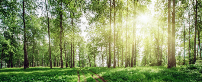 Get Rest, Jesus, Christ, God, HolySpirit, Christian, Bible, WordofGod, Scripture, Biblestudy, Spiritualgrowth, Pray, Prayer, Faith, Truth, Peace, Rest, Joy, Freedom, Grace, Encouragement, Hope, InHisPresence, Godspresence