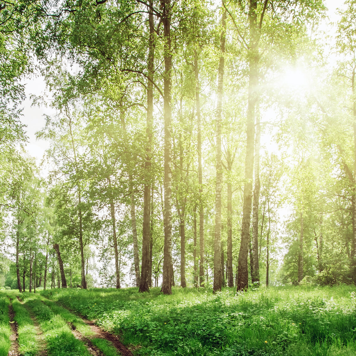 Get Rest, Jesus, Christ, God, HolySpirit, Christian, Bible, WordofGod, Scripture, Biblestudy, Spiritualgrowth, Pray, Prayer, Faith, Truth, Peace, Rest, Joy, Freedom, Grace, Encouragement, Hope, InHisPresence, Godspresence