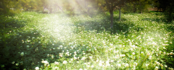 Get Rest, Jesus, Christ, God, HolySpirit, Christian, Bible, WordofGod, Scripture, Biblestudy, Spiritualgrowth, Pray, Prayer, Faith, Truth, Peace, Rest, Joy, Freedom, Grace, Encouragement, Hope, InHisPresence, Godspresence