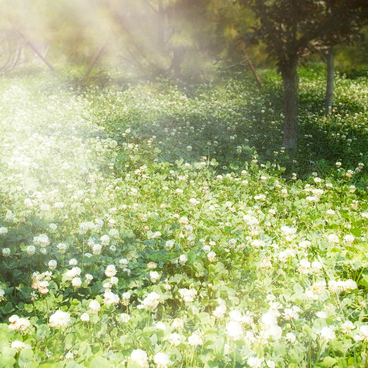 Get Rest, Jesus, Christ, God, HolySpirit, Christian, Bible, WordofGod, Scripture, Biblestudy, Spiritualgrowth, Pray, Prayer, Faith, Truth, Peace, Rest, Joy, Freedom, Grace, Encouragement, Hope, InHisPresence, Godspresence