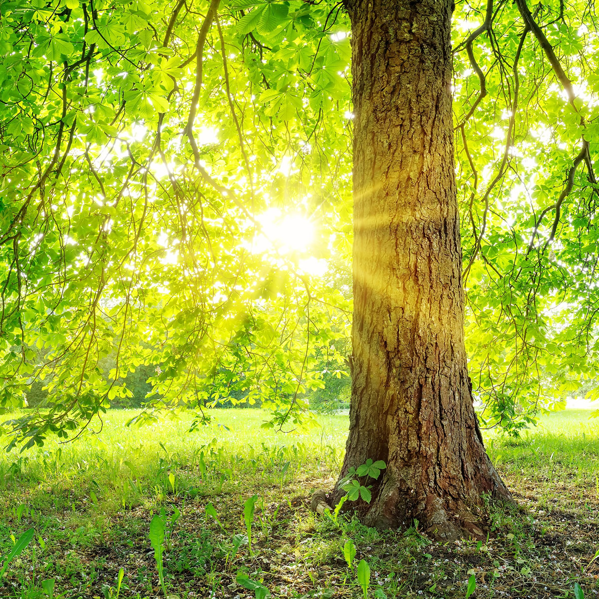 Get Rest, Jesus, Christ, God, HolySpirit, Christian, Bible, WordofGod, Scripture, Biblestudy, Spiritualgrowth, Pray, Prayer, Faith, Truth, Peace, Rest, Joy, Freedom, Grace, Encouragement, Hope, InHisPresence, Godspresence